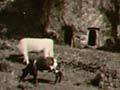 Pukurahi pā storage caves
