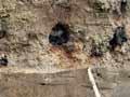 Evidence of the Taupō eruption