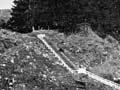 Mt Eden quarry