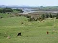 Kaipara inlets