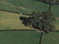 Pirongia, Waikato 
