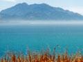 The view from Ngā Niho pā