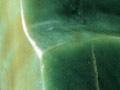 Greenstone adze