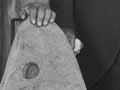 Anchor stone of the <em>Tokomaru</em>