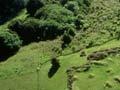 Ruapekapeka pā