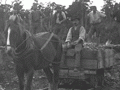 Building railways, Hokitika