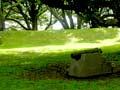 Remains of Monmouth redoubt