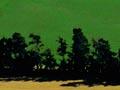 Patchwork plains