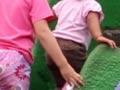 Dinosaur slide 