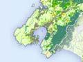 Wellington vegetation