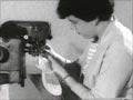 Video: Clothing factories in Levin