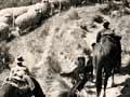 The language of mustering