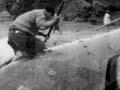 Audio: Whaling at Te Kaha
