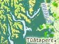Southland vegetation