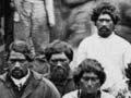 Picket at Pōkeno