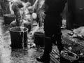 Slaughtering in early freezing works 