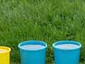 From grass to milk