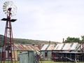 Hayes windmill