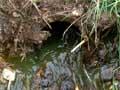 Sources of water