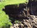 Gully erosion