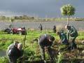 Lake Kainui Landcare Group