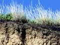 Awatere valley soils (1st of 2)