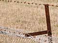 Hurunui rabbit fence