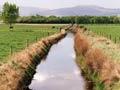 Open drains