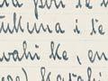 Interactive: Elsdon Best's notes