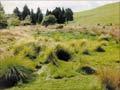 Farm wetlands
