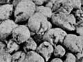 Response to fertiliser