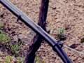 Drip irrigation