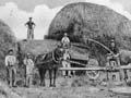Horse-powered threshing machine