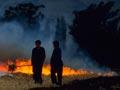 Burning wheat stubble
