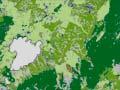 Interactive: New Zealand vegetation cover