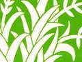 The good earth