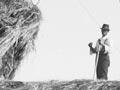 Manual hay grab