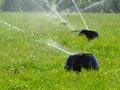 K-line irrigation