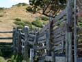 Old cattle-loading ramp