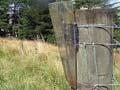 Farm rain gauge