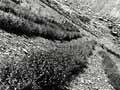 High-altitude erosion control