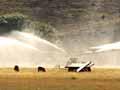 Spray irrigation