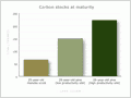 Carbon sinks