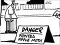 Controlling painted apple moth