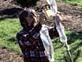 Controlling pollination