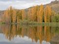Autumn colours, Central Otago