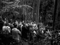 New Zealand Farm Forestry Association