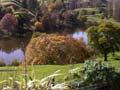 Hackfall's Arboretum, East Coast