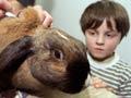 Vaccinating Bun Bun