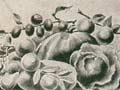 <em>Journal of Agriculture</em>, 1910